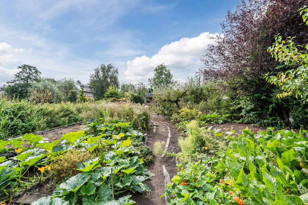 20250828, Noordeinde 91, Waddinxveen, Oudijk Makelaardij (96 of 114).jpg